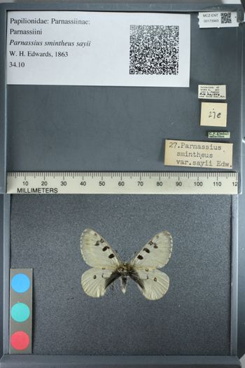 Media type: image;   Entomology 173943